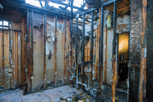 Professional Soot Cleanup technician working in Harleigh, PA